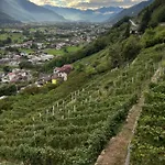 Nel Vigneto