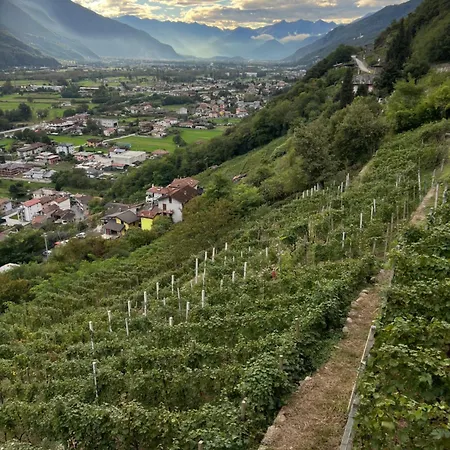 Κατάλυμα σε φάρμα Nel Vigneto Traona