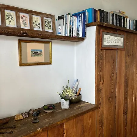 Nel Vigneto Farm stay