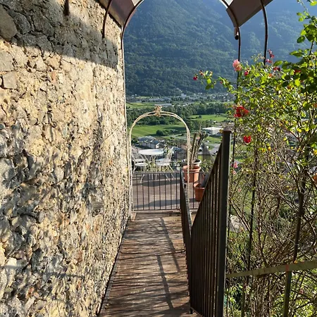 Nel Vigneto * Traona