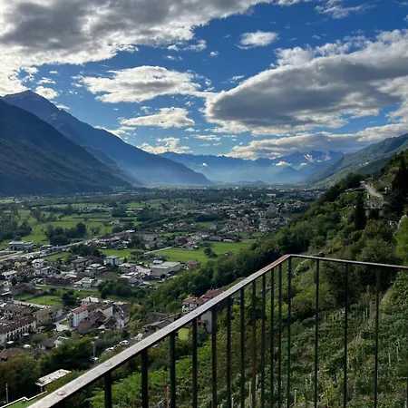 Nel Vigneto Farm stay